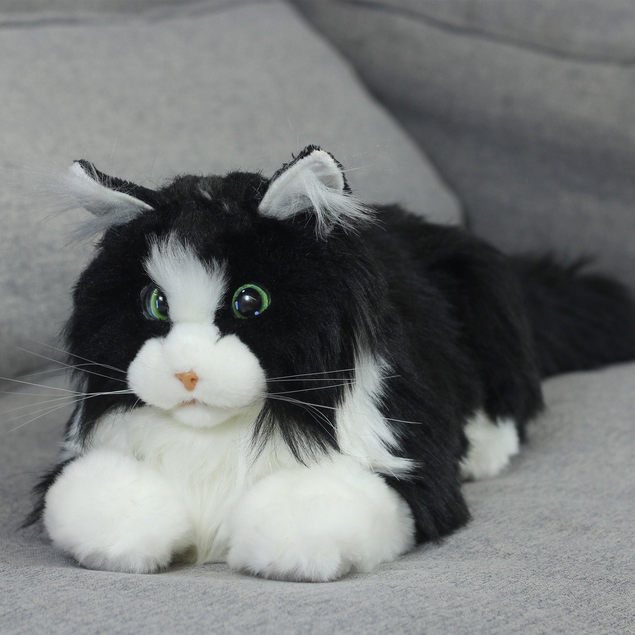 Elephant Robotics metaCat: Gift The Purr~Fect Companion Robotic Pet Cat Bicolor