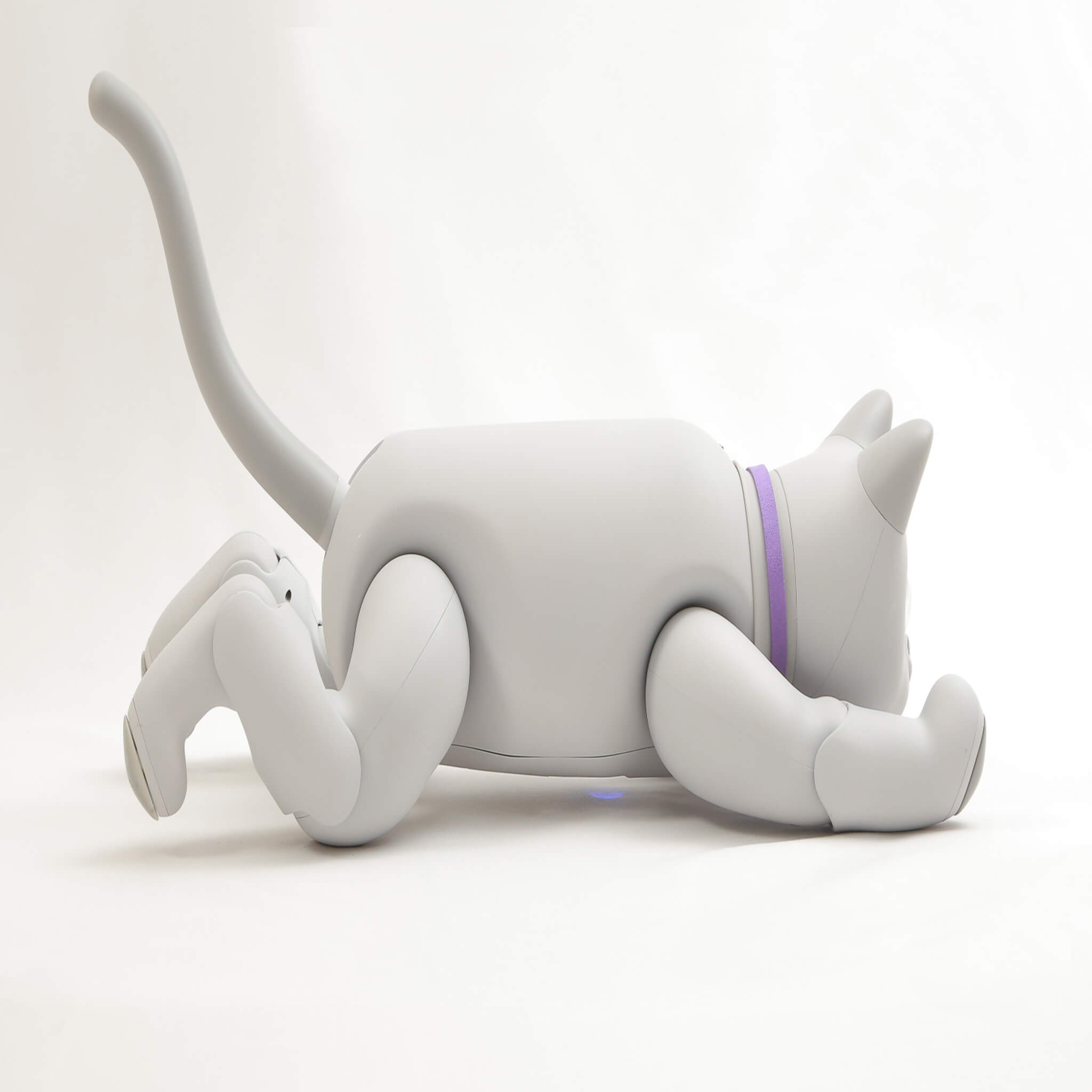 MarsCat: A Bionic Pet Cat, Home Robot Cats