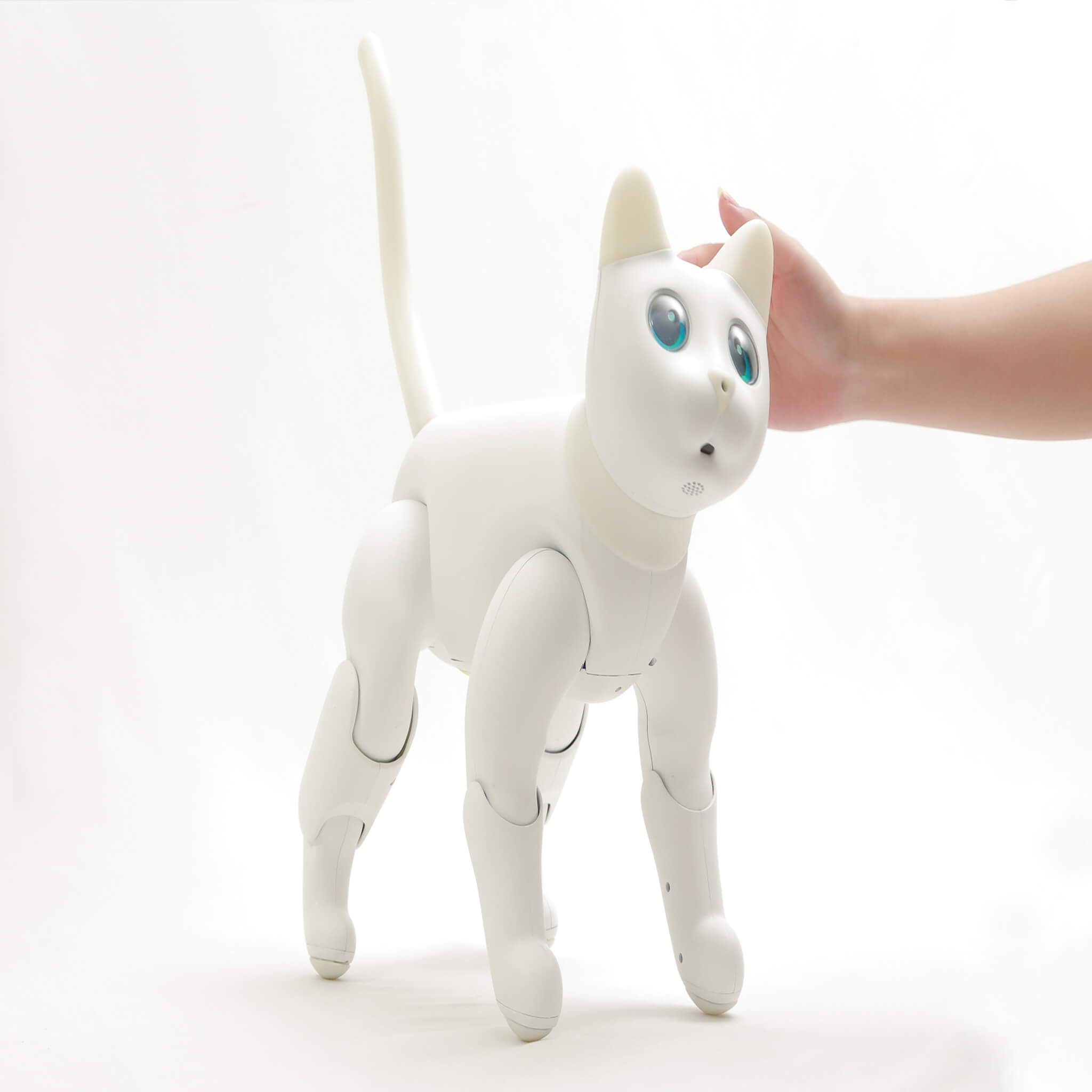 MarsCat: A Bionic Pet Cat, Home Robot Cats