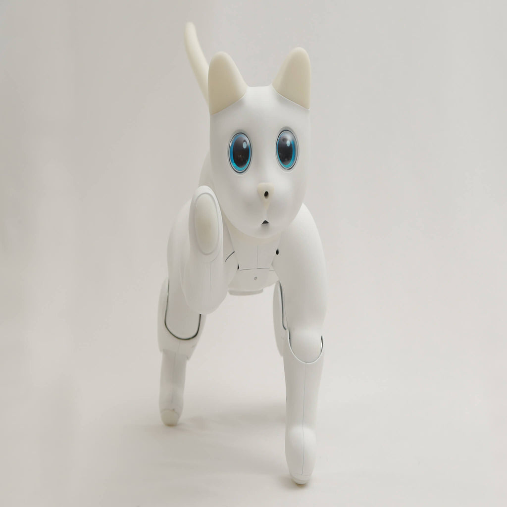 MarsCat: A Bionic Pet Cat, Home Robot Cats