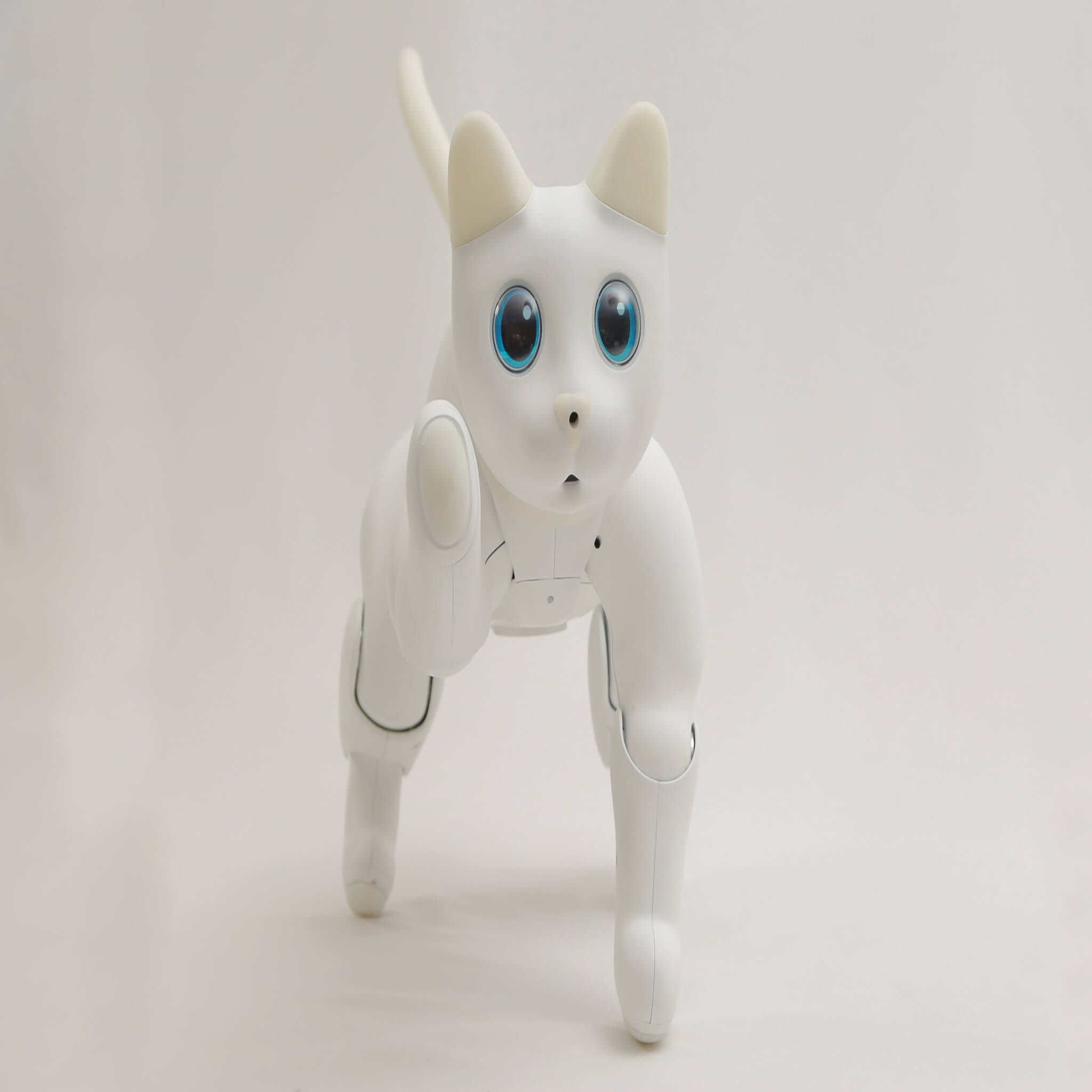 MarsCat: A Bionic Pet Cat, Home Robot Cats