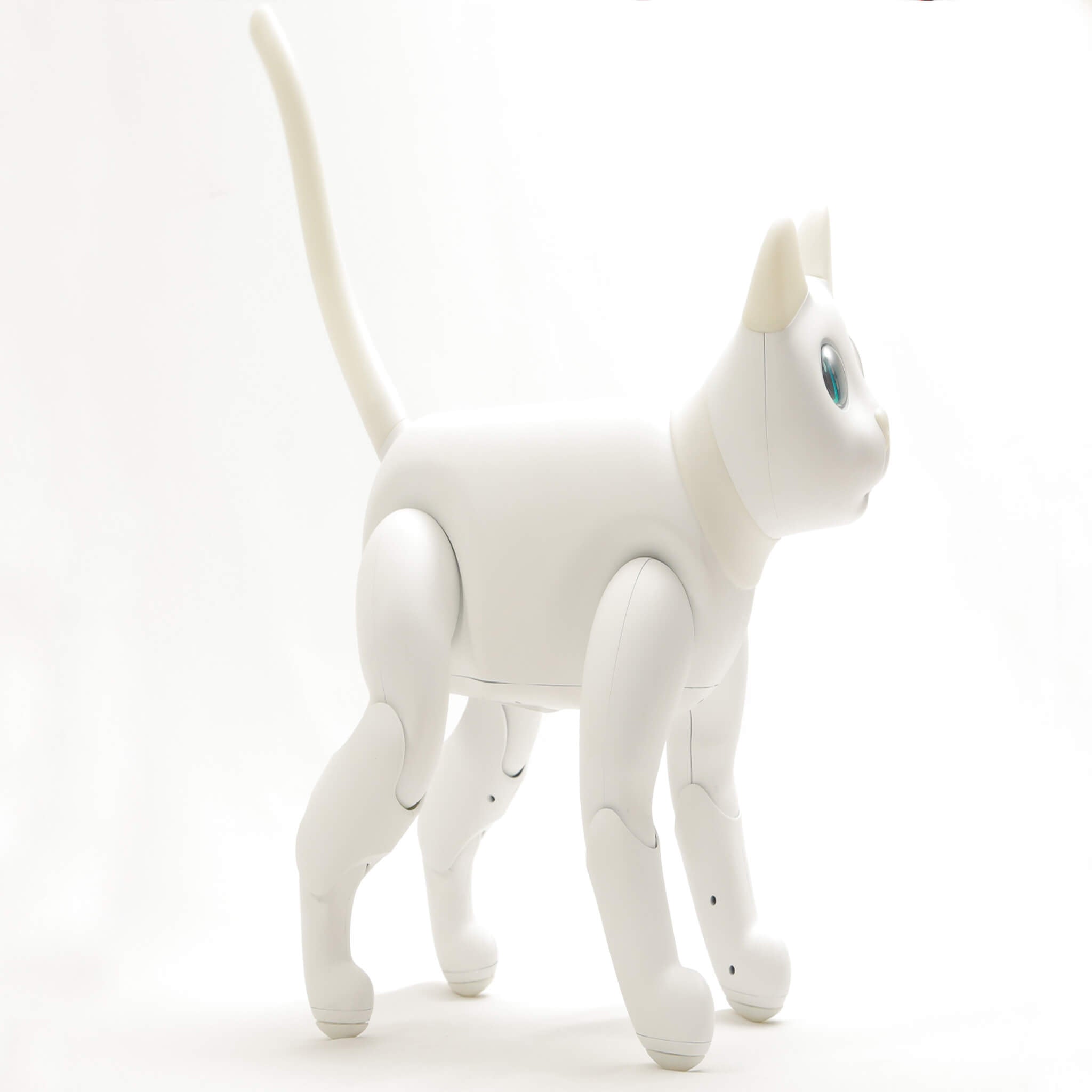 MarsCat: A Bionic Pet Cat, Home Robot Cats