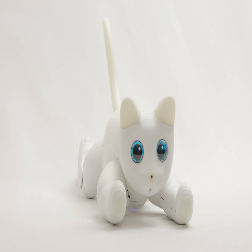MarsCat: A Bionic Pet Cat, Home Robot Cats