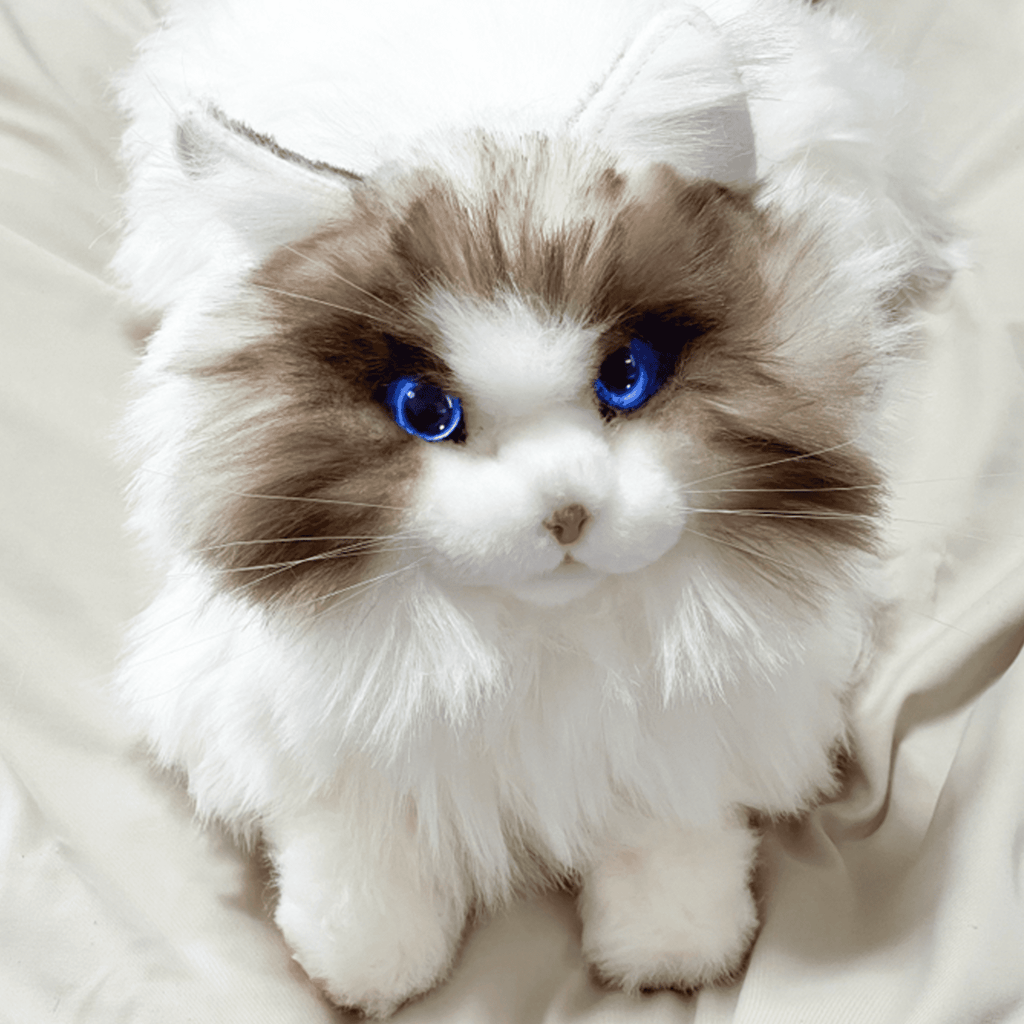 Elephant Robotics metaCat: Gift the Purr~Fect Companion Robotic Pet Cat